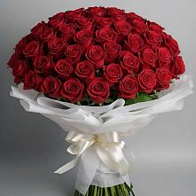 Букет 101 Красная роза Блэк Мэджик в Батайске