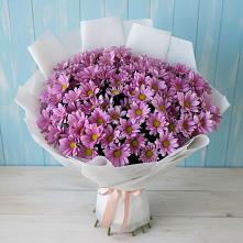 Букет сиреневая охапка в Батайске Букет цветов из:  Хризантемы в Батайске