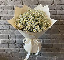 Букет Кустики радости #REPLACE_PRED# Батайске Букет цветов из:  Ромашки #REPLACE_PRED# Батайске