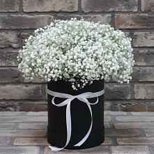 Цветочная композиция из Гипсофила в шляпной коробке #REPLACE_PRED# Батайске