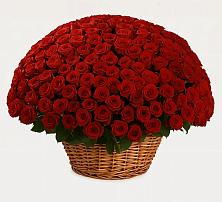 Премиум букет из: Розы в Батайске